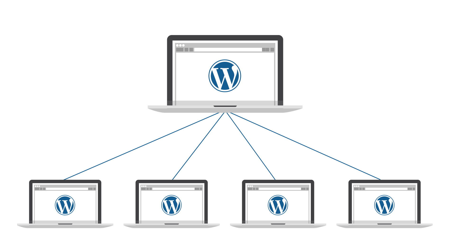 multisite wordpress