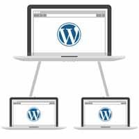 wordpress multi-site